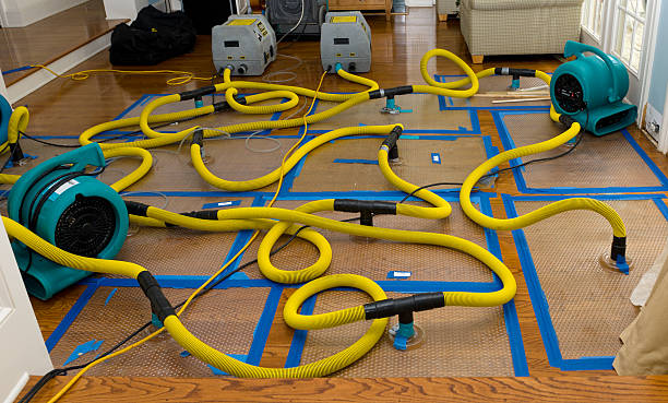Professional Basement Flood Cleanup technician working in Eden, UT
